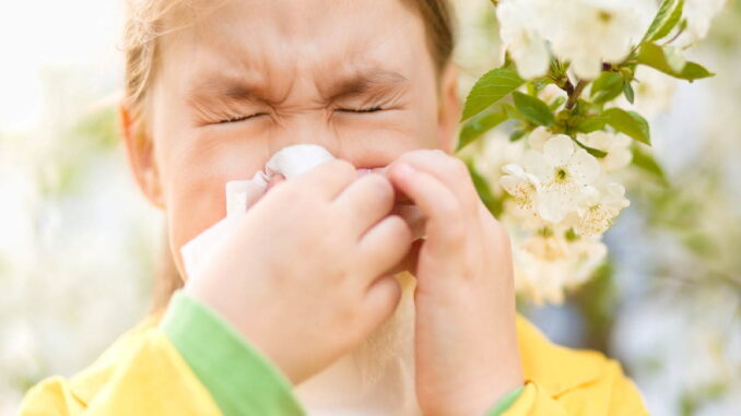 akupressur allergie